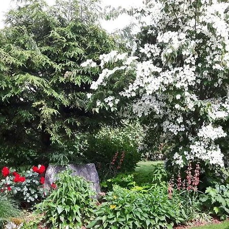 Magdalena * Radovljica